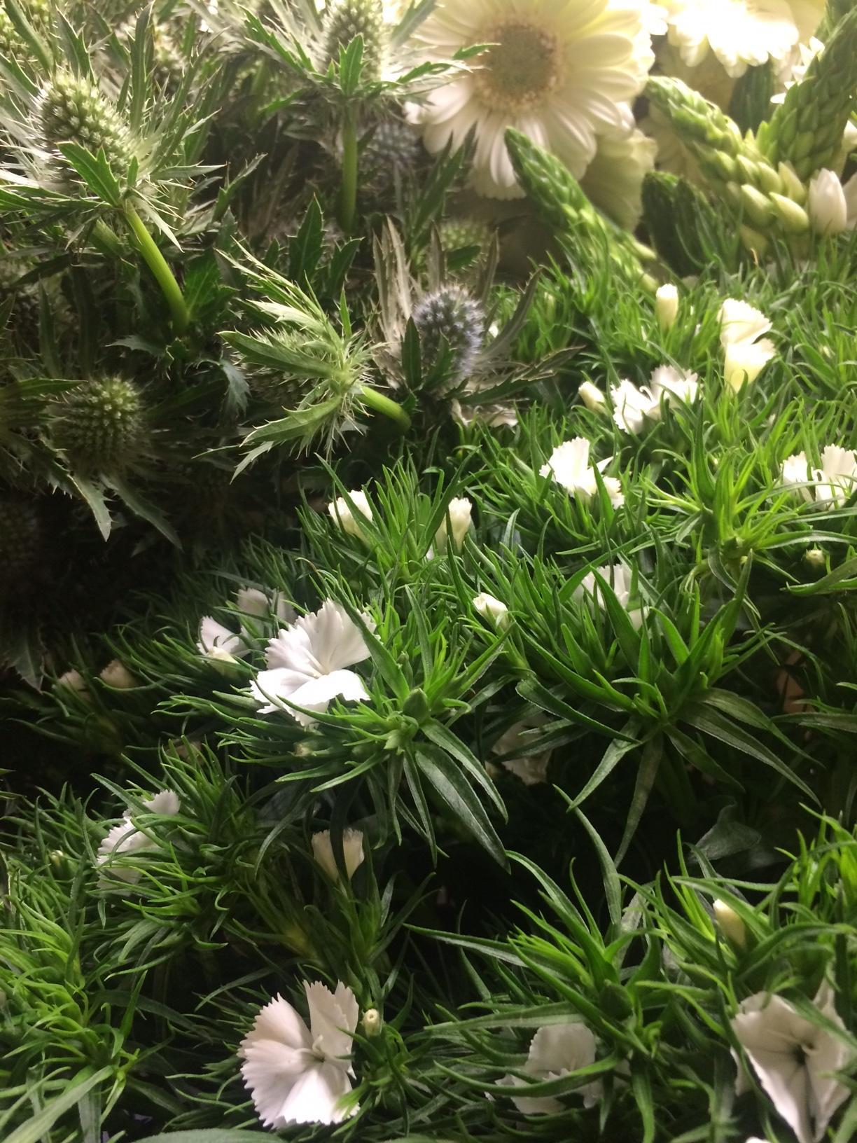 fleurs saison