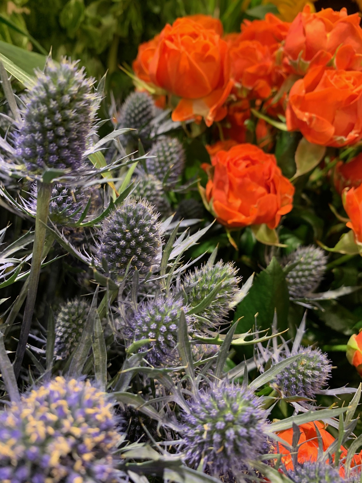 fleurs saison